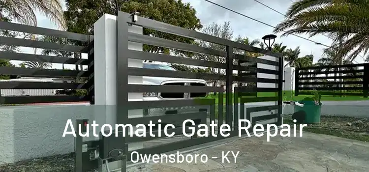 Automatic Gate Repair Owensboro - KY