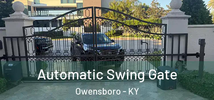 Automatic Swing Gate Owensboro - KY