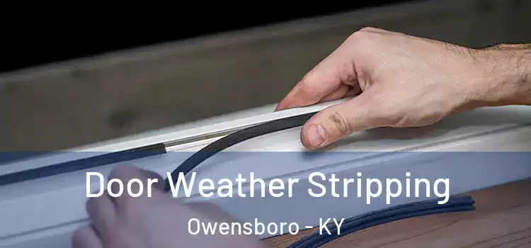 Door Weather Stripping Owensboro - KY
