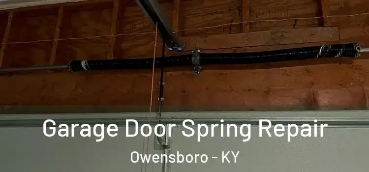  Garage Door Spring Repair Owensboro - KY