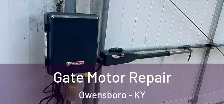 Gate Motor Repair Owensboro - KY