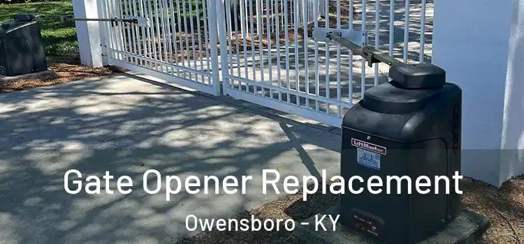 Gate Opener Replacement Owensboro - KY