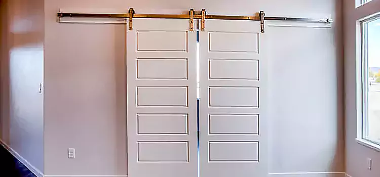 Glass Barn Door with Installation Hardware Kit Owensboro