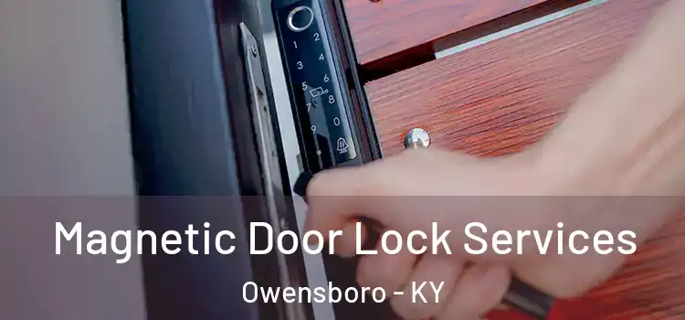 Magnetic Door Lock Services Owensboro - KY