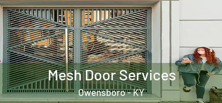 Mesh Door Services Owensboro - KY